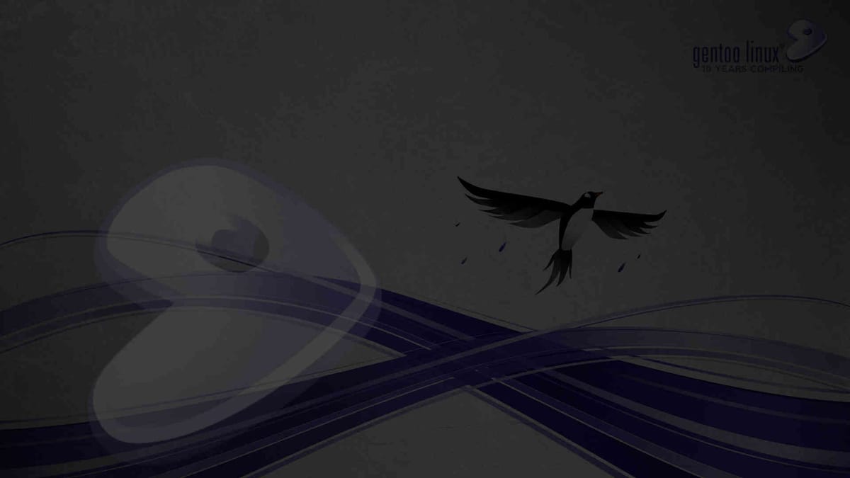 Transitioning Away from Gentoo: A Decade-Long Linux Journey