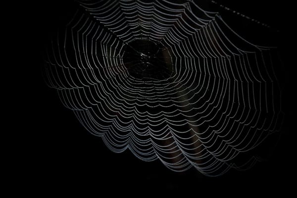 The Dark Web, Demystified: Beyond the Shadows of Tor